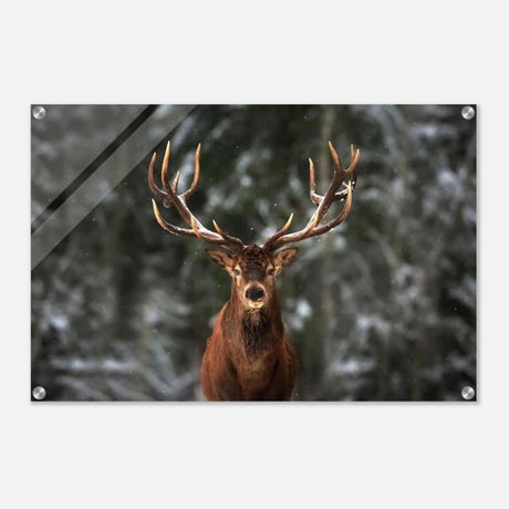 Da Vinci Animal Kingdom Wall art print | Wildlife | Deer - Acrylic Print - 50x75 cm / 20x30″ -