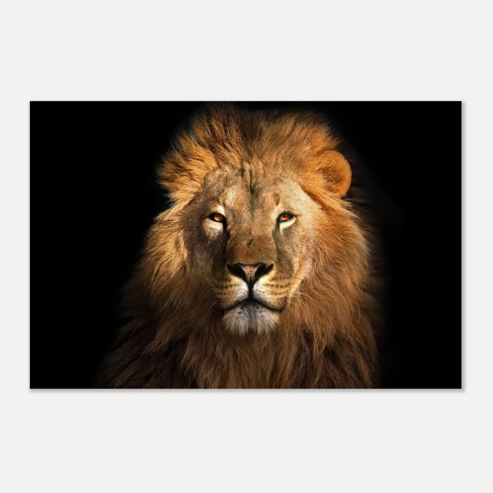 Da Vinci Animal Kingdom Wall art print | Wildlife | Lion | - Aluminum Print - 30x45 cm / 12x18″ -