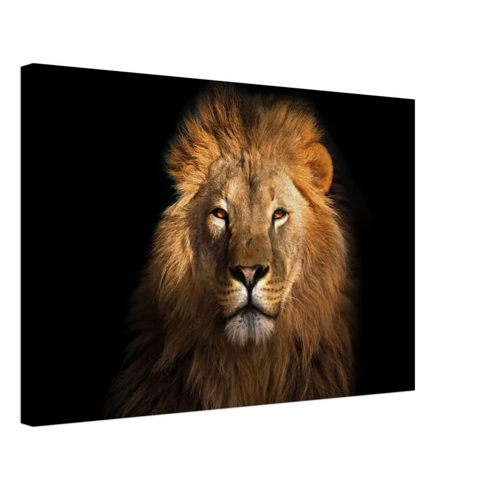 Da Vinci Animal Kingdom Wall art print | Wildlife | Lion | - Canvas - 40x60 cm / 16x24″ - Slim