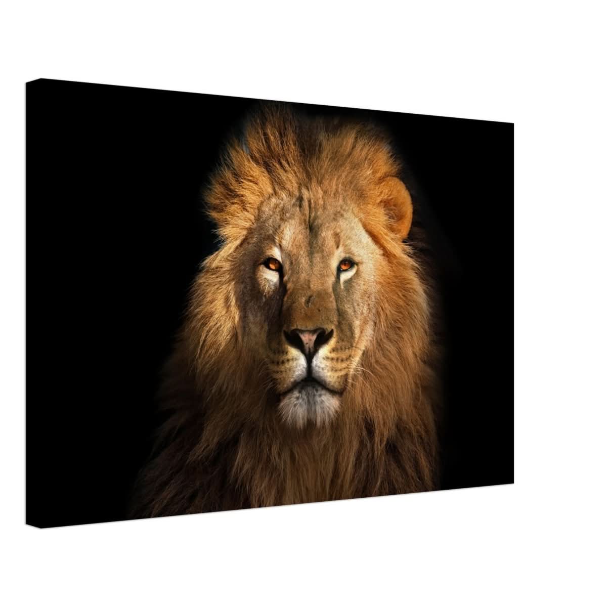 Da Vinci Animal Kingdom Wall art print | Wildlife | Lion | - Canvas - 40x60 cm / 16x24″ - Slim