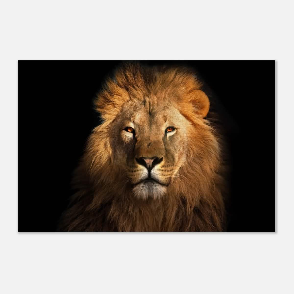 Da Vinci Animal Kingdom Wall art print | Wildlife | Lion | - Wood Prints - 30x45 cm / 12x18″ - 10 mm