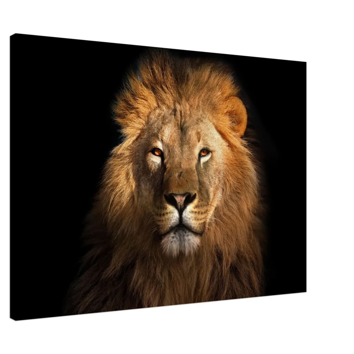 Da Vinci Animal Kingdom Wall art print | Wildlife | Lion | - Canvas - 70x100 cm / 28x40″ - Slim