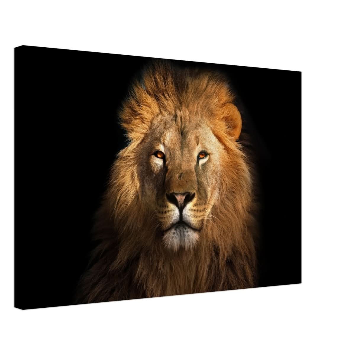 Da Vinci Animal Kingdom Wall art print | Wildlife | Lion | - Canvas - 50x75 cm / 20x30″ - Thick