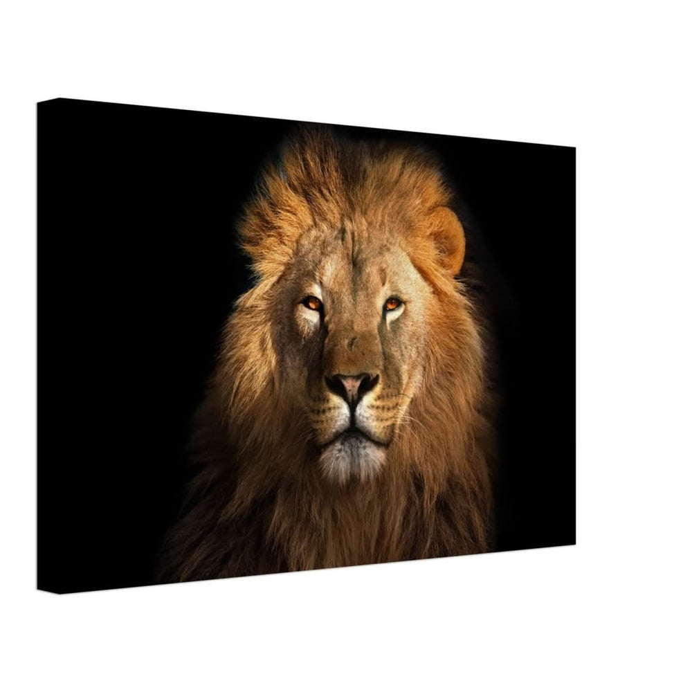 Da Vinci Animal Kingdom Wall art print | Wildlife | Lion | - Canvas - 30x45 cm / 12x18″ - Slim