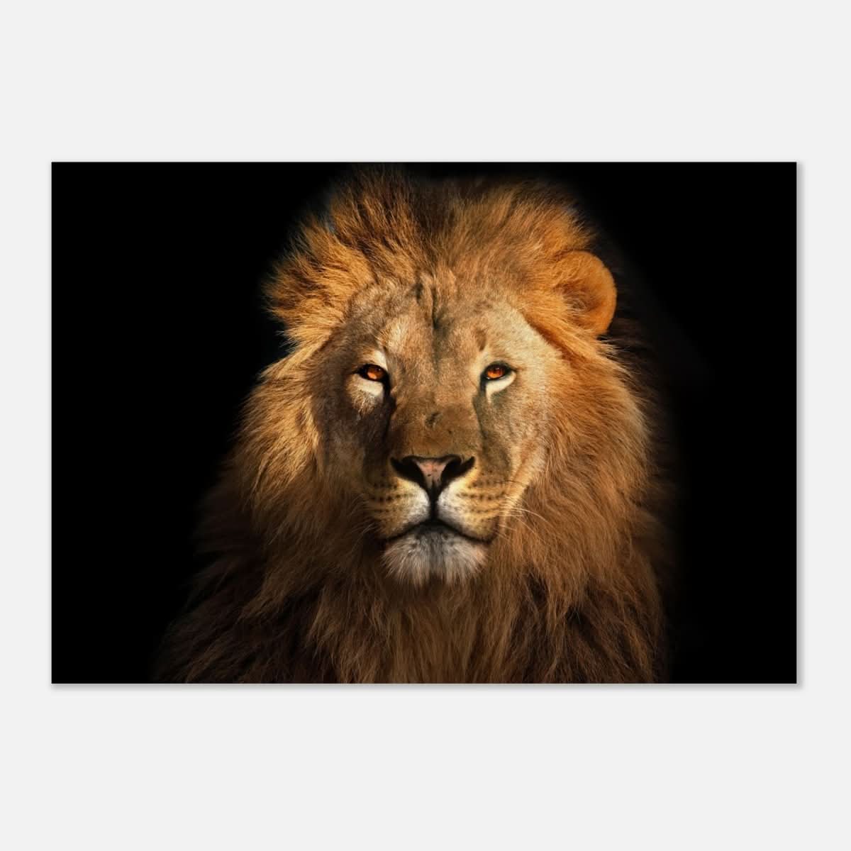 Da Vinci Animal Kingdom Wall art print | Wildlife | Lion | - Wood Prints - 70x100 cm / 28x40″ - 20 mm