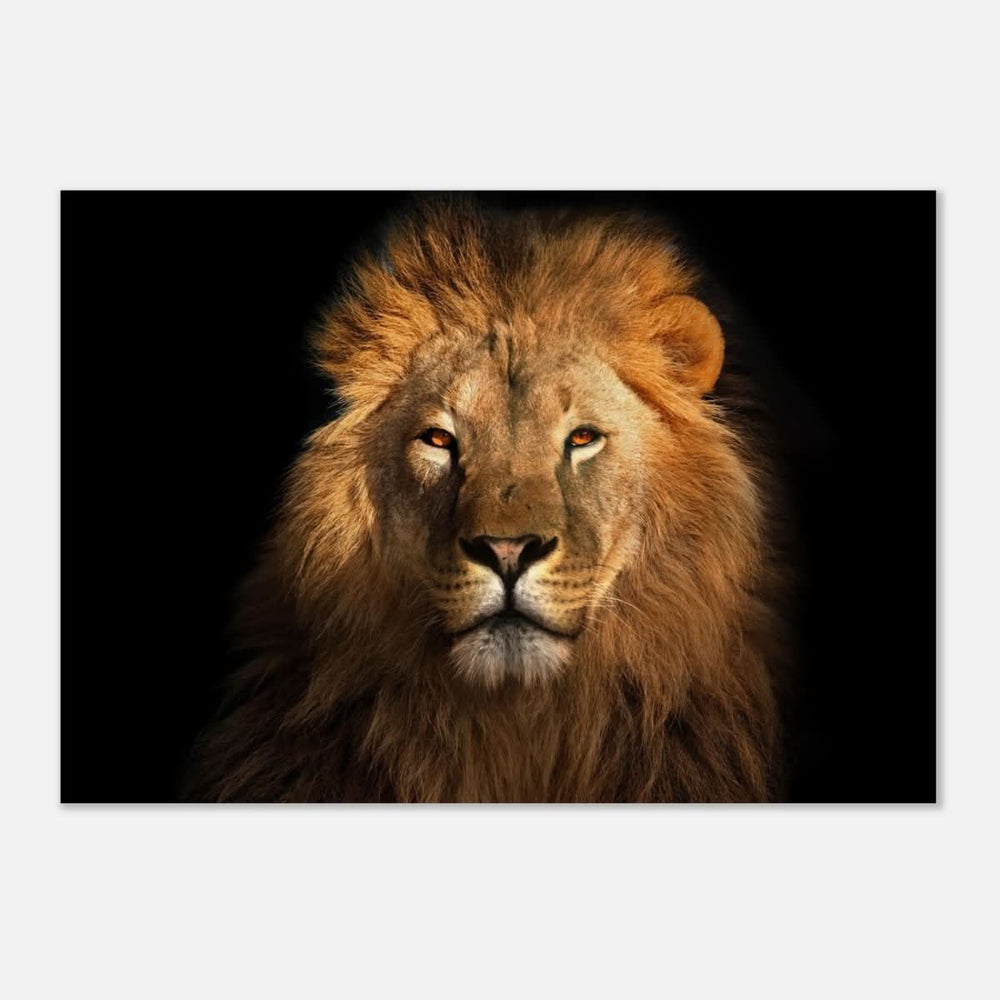 Da Vinci Animal Kingdom Wall art print | Wildlife | Lion | - Wood Prints - 70x100 cm / 28x40″ - 10 mm