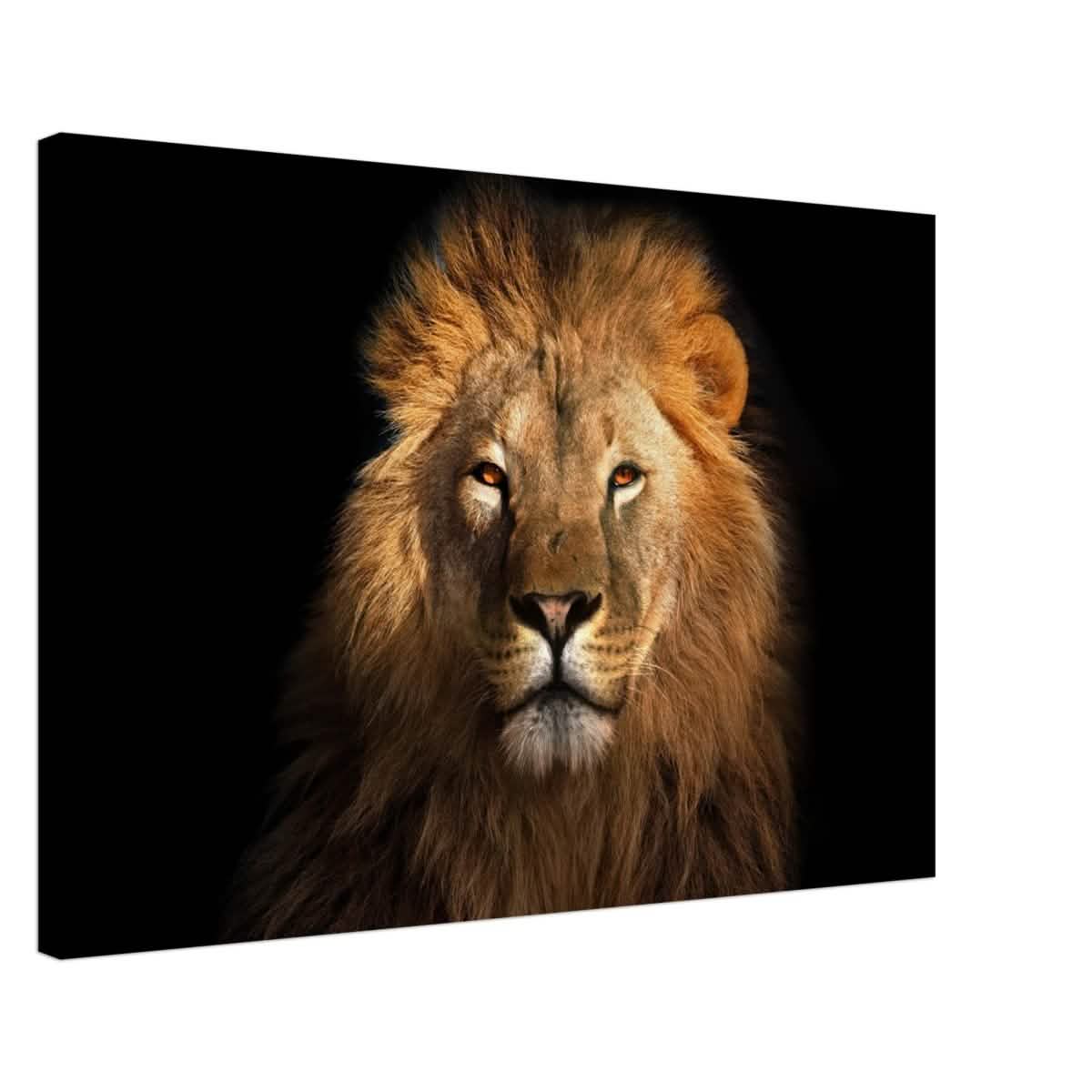 Da Vinci Animal Kingdom Wall art print | Wildlife | Lion | - Canvas - 60x90 cm / 24x36″ - Thick
