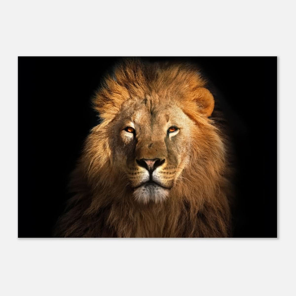 Da Vinci Animal Kingdom Wall art print | Wildlife | Lion | - Aluminum Print - 70x100 cm / 28x40″ -