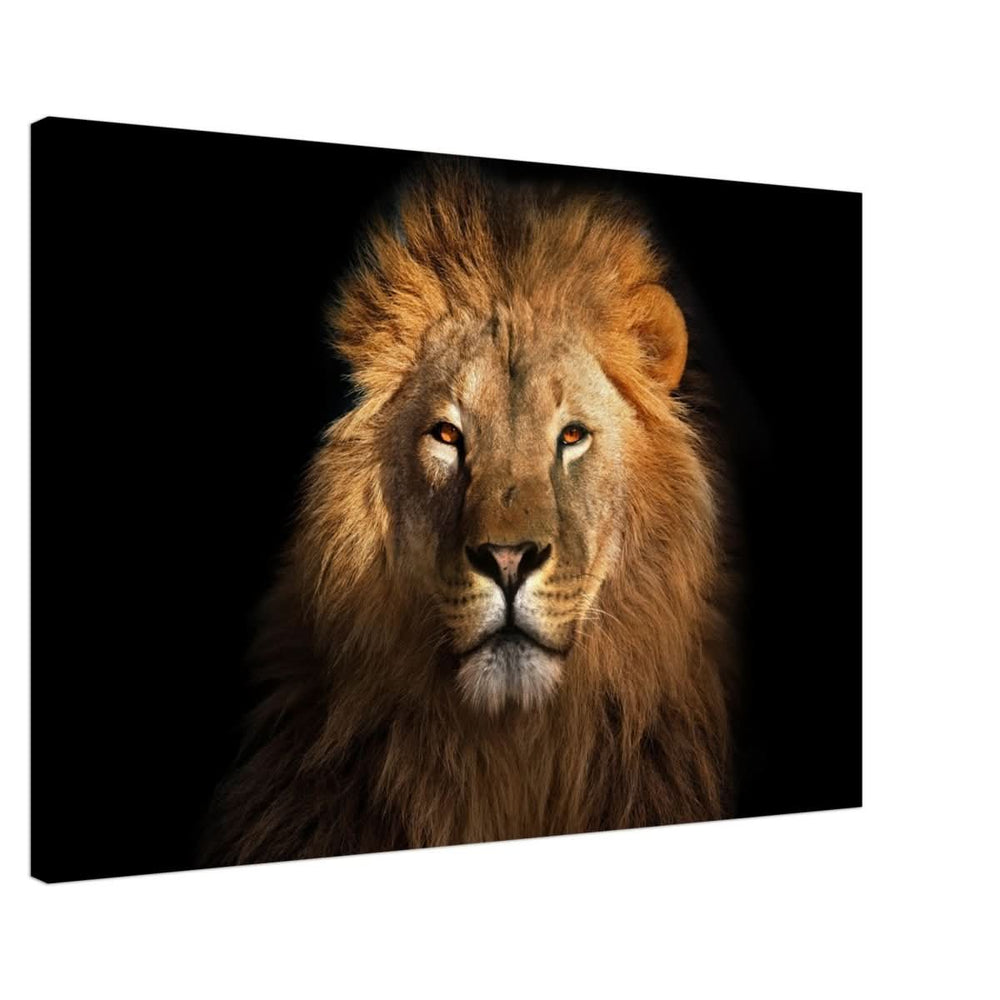 Da Vinci Animal Kingdom Wall art print | Wildlife | Lion | - Canvas - 60x90 cm / 24x36″ - Slim