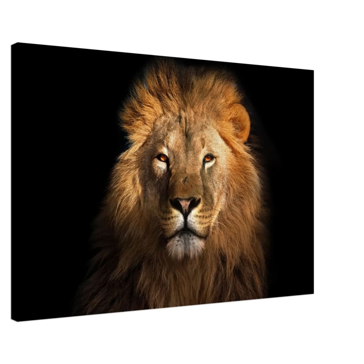 Da Vinci Animal Kingdom Wall art print | Wildlife | Lion | - Canvas - 60x90 cm / 24x36″ - Slim