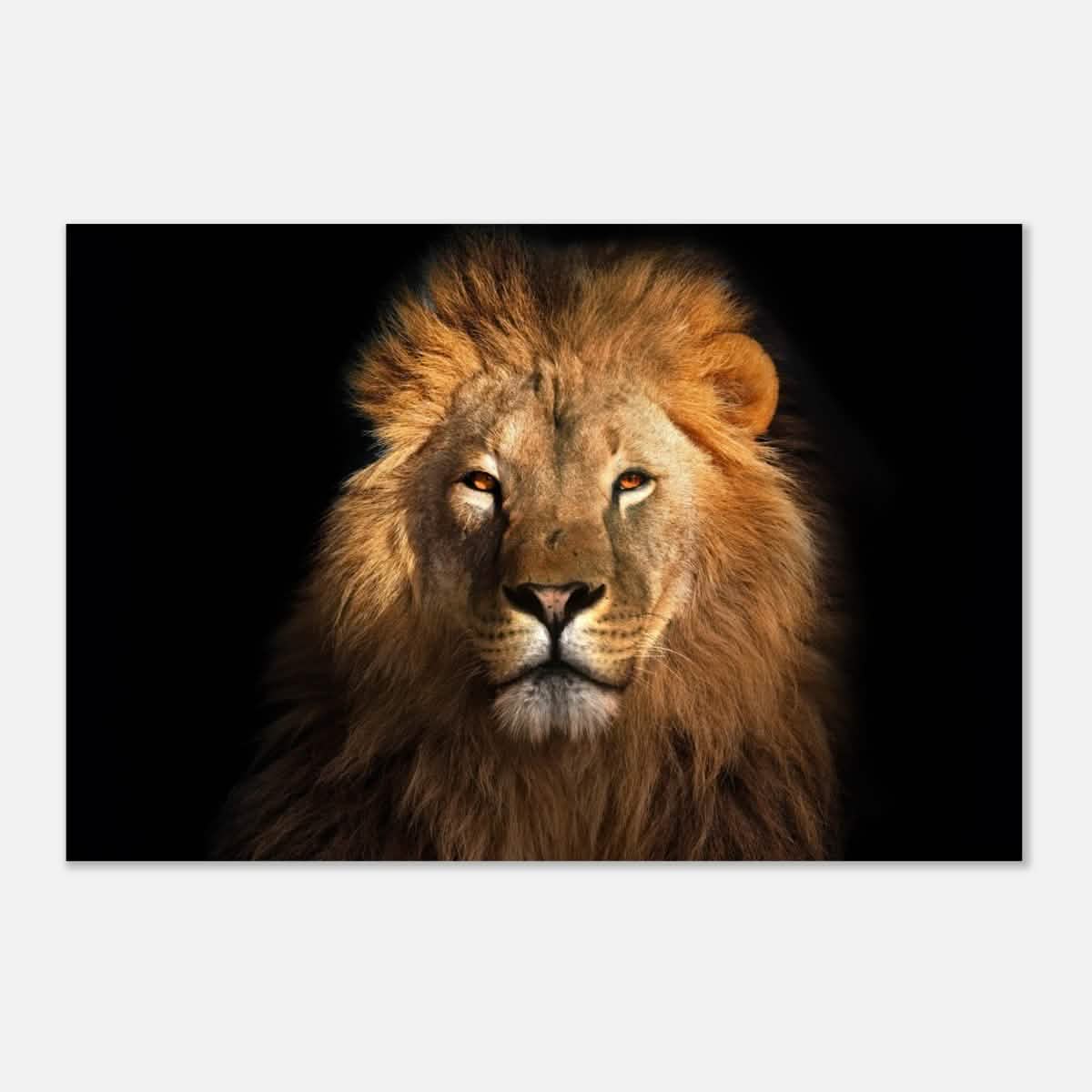 Da Vinci Animal Kingdom Wall art print | Wildlife | Lion | - Aluminum Print - 60x90 cm / 24x36″ -