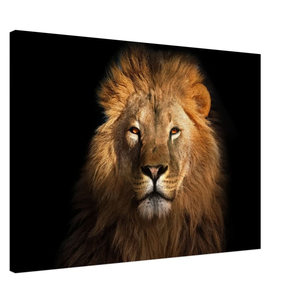 Da Vinci Animal Kingdom Wall art print | Wildlife | Lion | - Canvas - 70x100 cm / 28x40″ - Thick