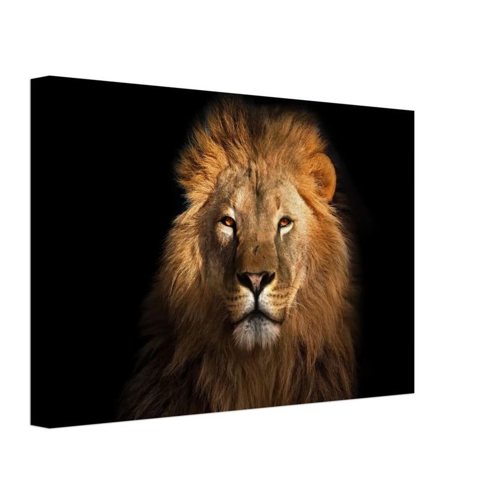 Da Vinci Animal Kingdom Wall art print | Wildlife | Lion | - Canvas - 30x45 cm / 12x18″ - Thick