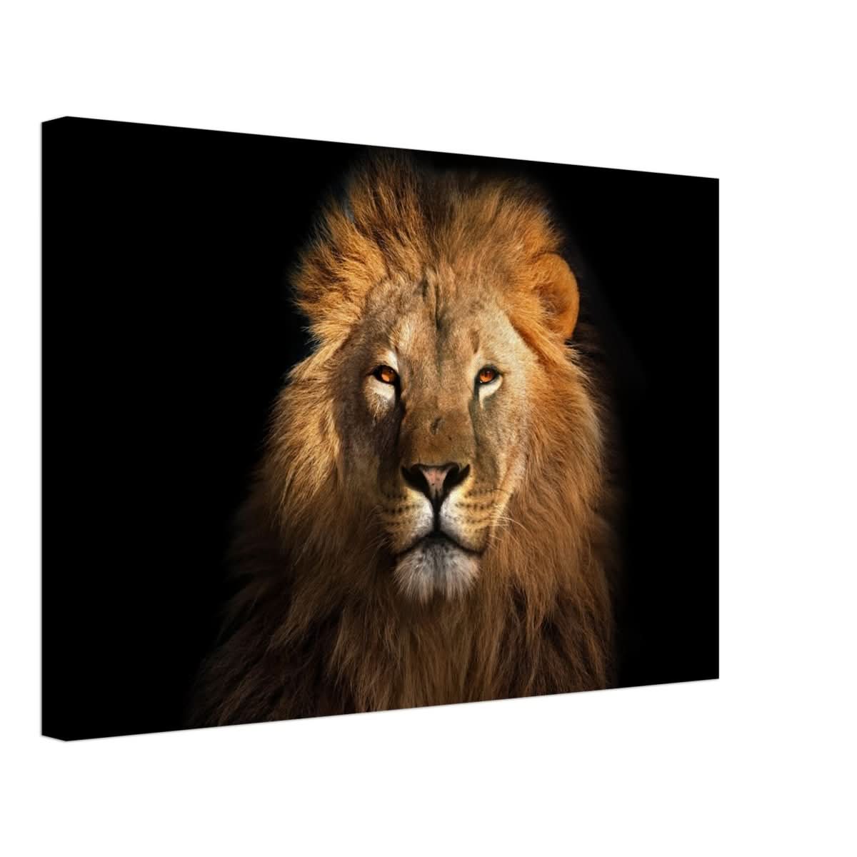 Da Vinci Animal Kingdom Wall art print | Wildlife | Lion | - Canvas - 40x60 cm / 16x24″ - Thick