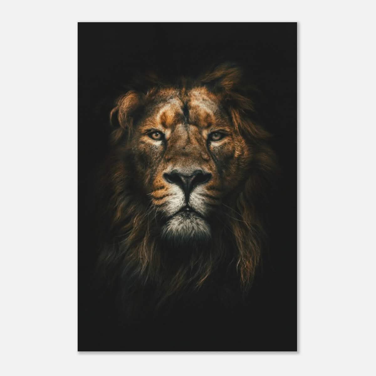 Da Vinci Animal Kingdom Wall art print | Wildlife | Lion - Wood Prints - 50x75 cm / 20x30″ - 10 mm