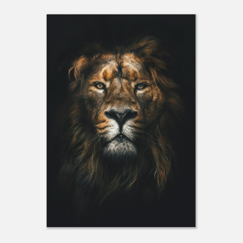 Da Vinci Animal Kingdom Wall art print | Wildlife | Lion - Aluminum Print - 70x100 cm / 28x40″ -