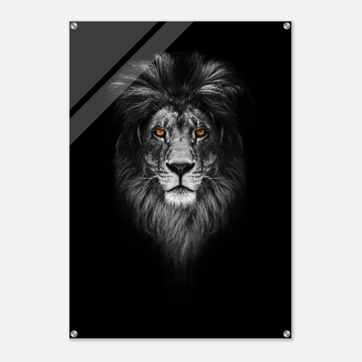 Da Vinci Animal Kingdom Wall art print | Wildlife | Lion - Acrylic Print - 70x100 cm / 28x40″ -