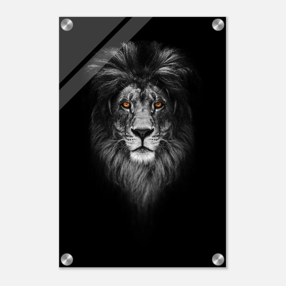 Da Vinci Animal Kingdom Wall art print | Wildlife | Lion - Acrylic Print - 30x45 cm / 12x18″ -