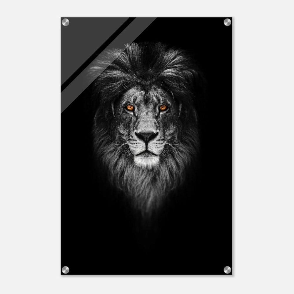 Da Vinci Animal Kingdom Wall art print | Wildlife | Lion - Acrylic Print - 50x75 cm / 20x30″ -