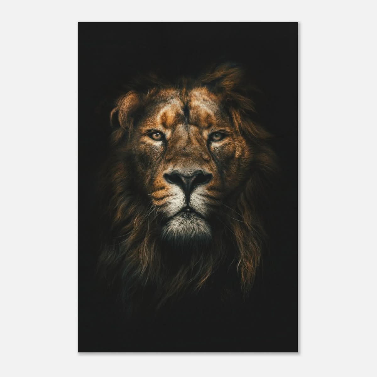 Da Vinci Animal Kingdom Wall art print | Wildlife | Lion - Wood Prints - 40x60 cm / 16x24″ - 20 mm