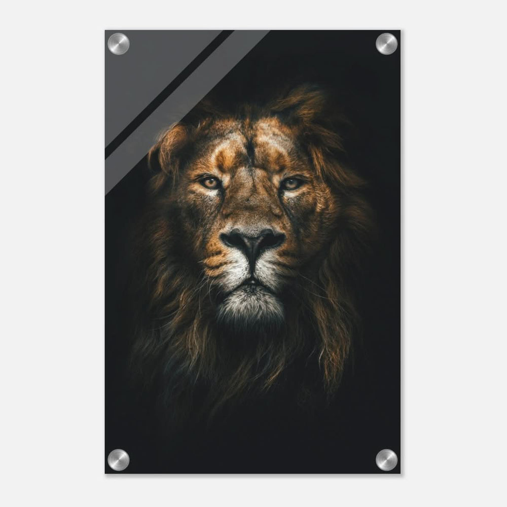 Da Vinci Animal Kingdom Wall art print | Wildlife | Lion - Acrylic Print - 30x45 cm / 12x18″ -