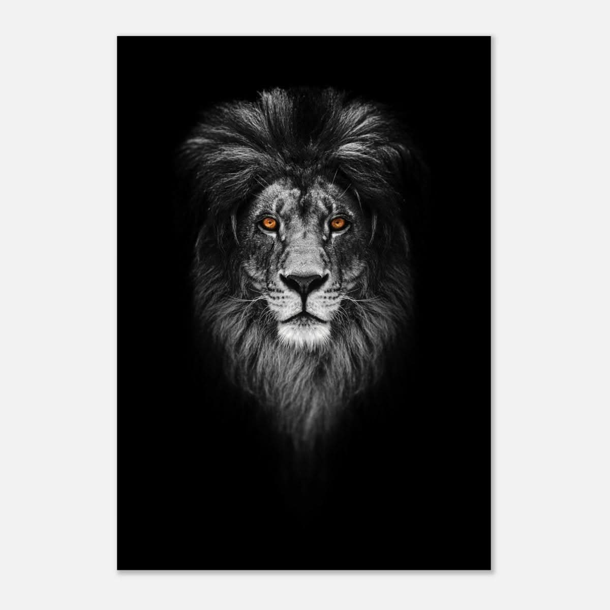 Da Vinci Animal Kingdom Wall art print | Wildlife | Lion - Aluminum Print - 70x100 cm / 28x40″ -