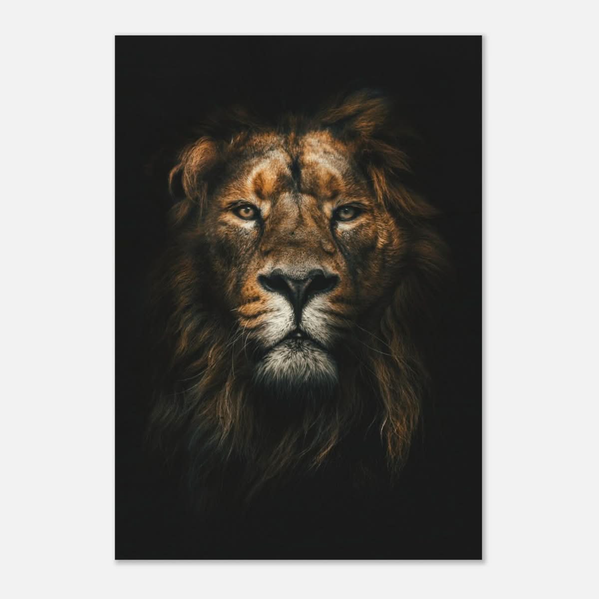 Da Vinci Animal Kingdom Wall art print | Wildlife | Lion - Wood Prints - 70x100 cm / 28x40″ - 20 mm