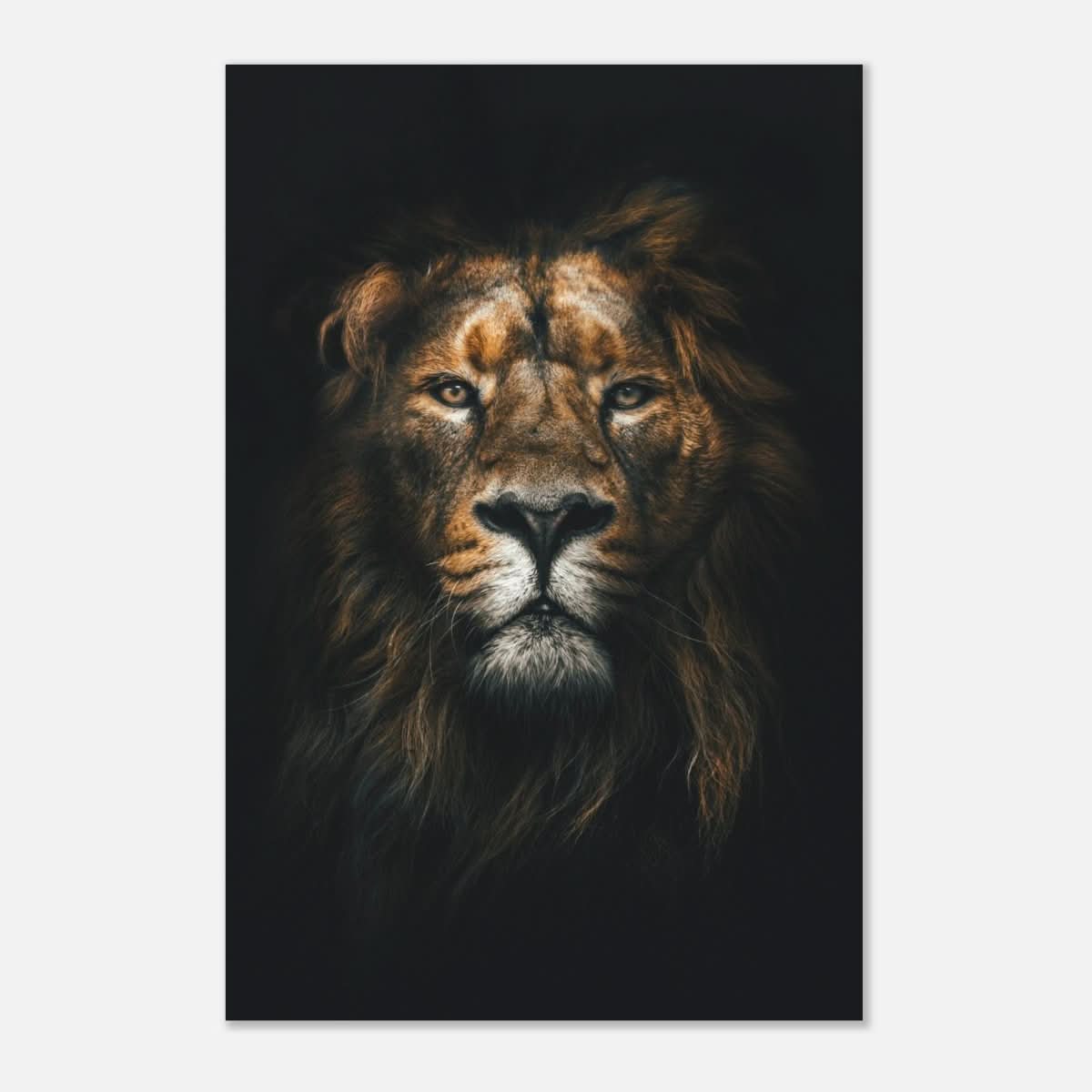 Da Vinci Animal Kingdom Wall art print | Wildlife | Lion - Aluminum Print - 40x60 cm / 16x24″ -