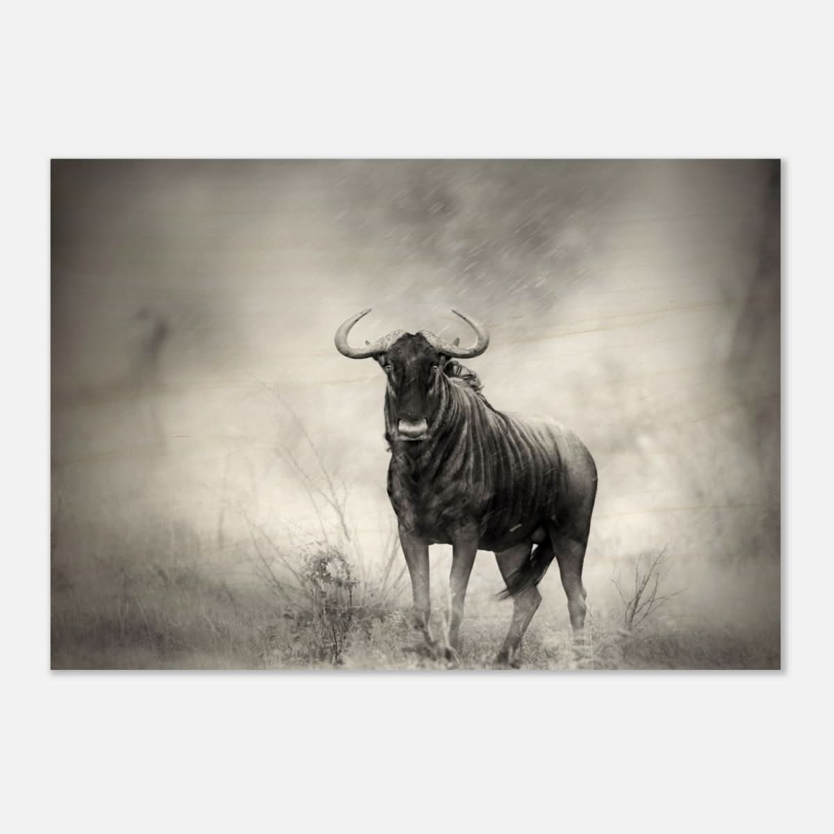 Da Vinci Animal Kingdom Wall art print | Wildlife | Wildebeest - Wood Prints - 70x100 cm / 28x40″ - 10 mm