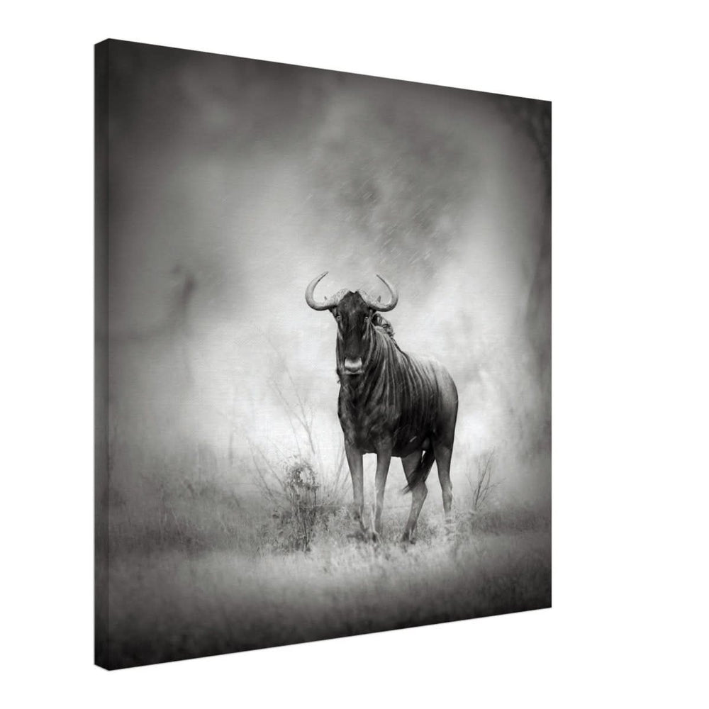 Da Vinci Animal Kingdom Wall art print | Wildlife | Wildebeest - Canvas - 60x60 cm / 24x24″ - Slim