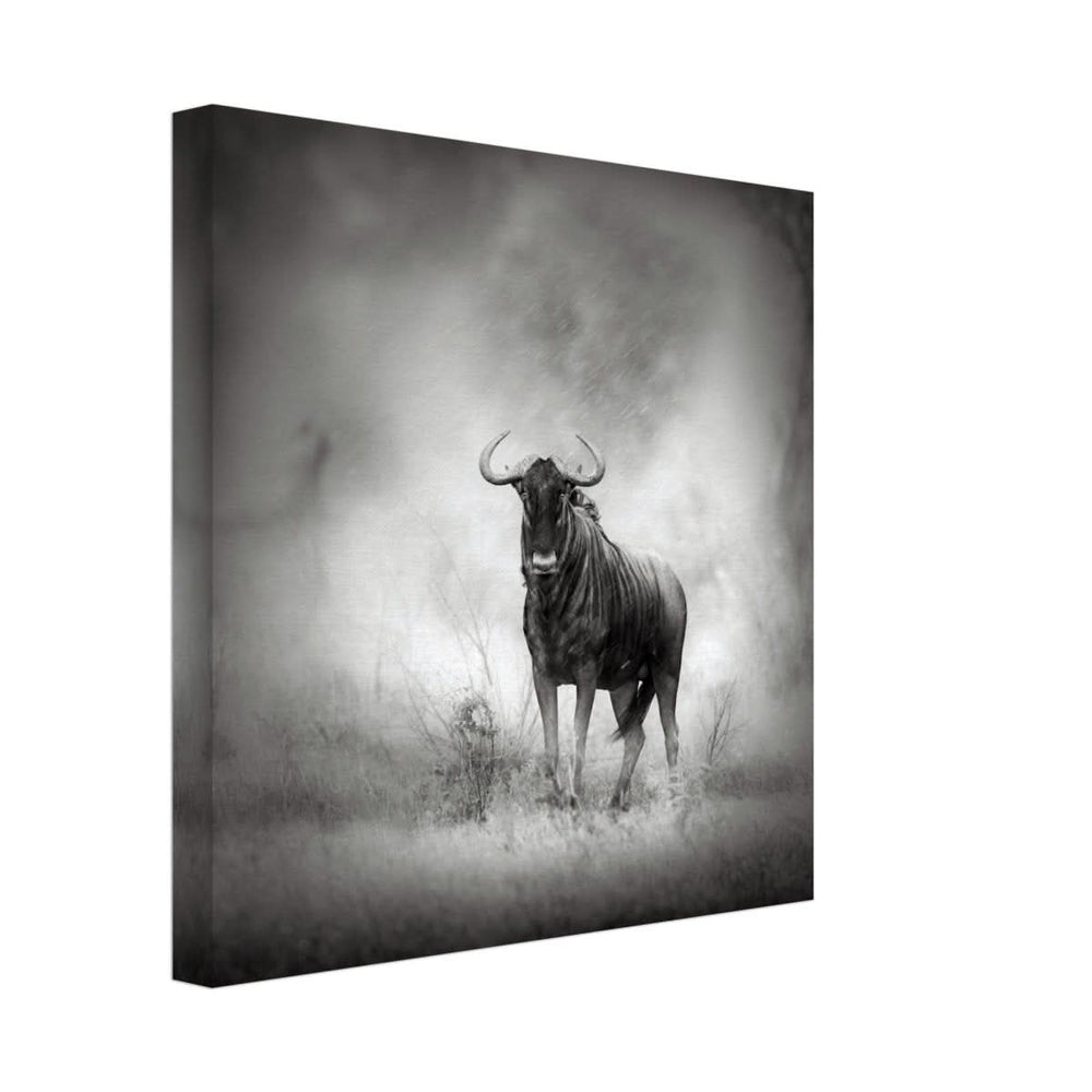 Da Vinci Animal Kingdom Wall art print | Wildlife | Wildebeest - Canvas - 30x30 cm / 12x12″ - Slim