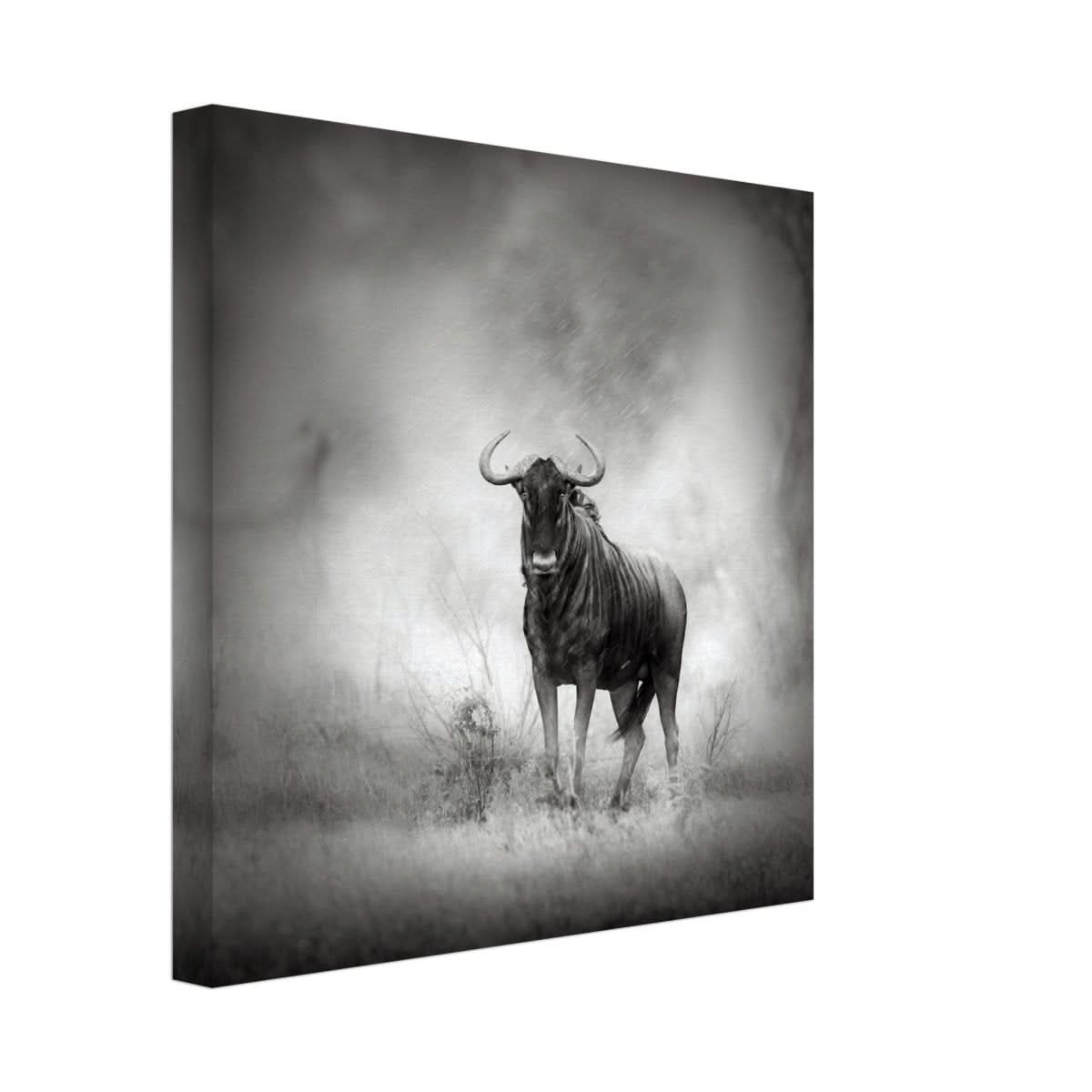 Da Vinci Animal Kingdom Wall art print | Wildlife | Wildebeest - Canvas - 30x30 cm / 12x12″ - Slim