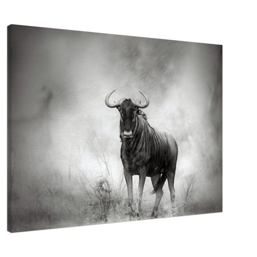 Da Vinci Animal Kingdom Wall art print | Wildlife | Wildebeest - Canvas - 70x100 cm / 28x40″ - Slim