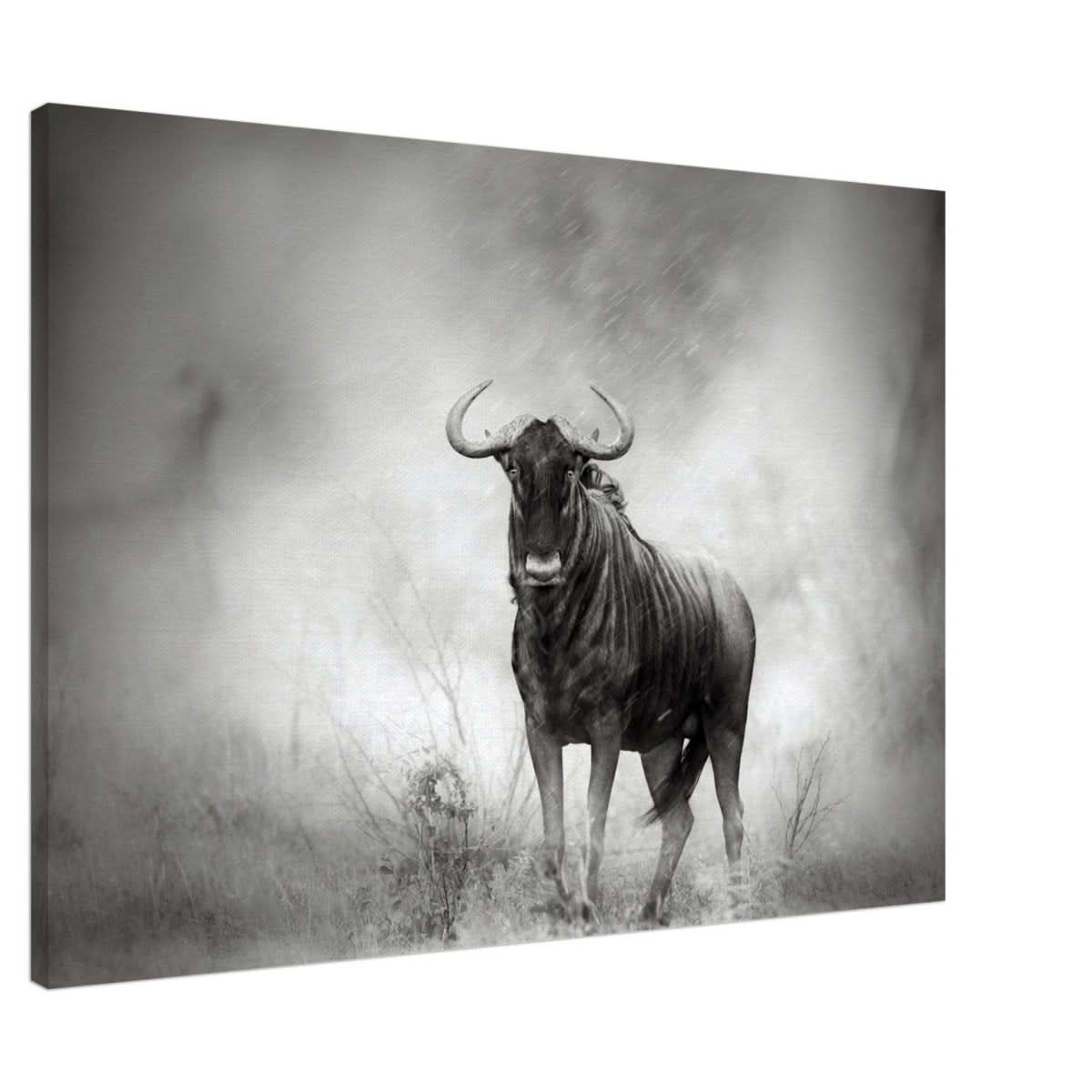 Da Vinci Animal Kingdom Wall art print | Wildlife | Wildebeest - Canvas - 70x100 cm / 28x40″ - Slim