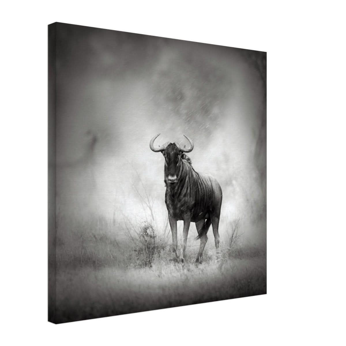 Da Vinci Animal Kingdom Wall art print | Wildlife | Wildebeest - Canvas - 50x50 cm / 20x20″ - Slim