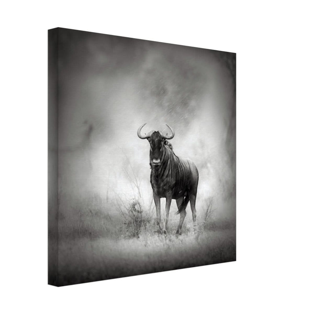 Da Vinci Animal Kingdom Wall art print | Wildlife | Wildebeest - Canvas - 40x40 cm / 16x16″ - Thick