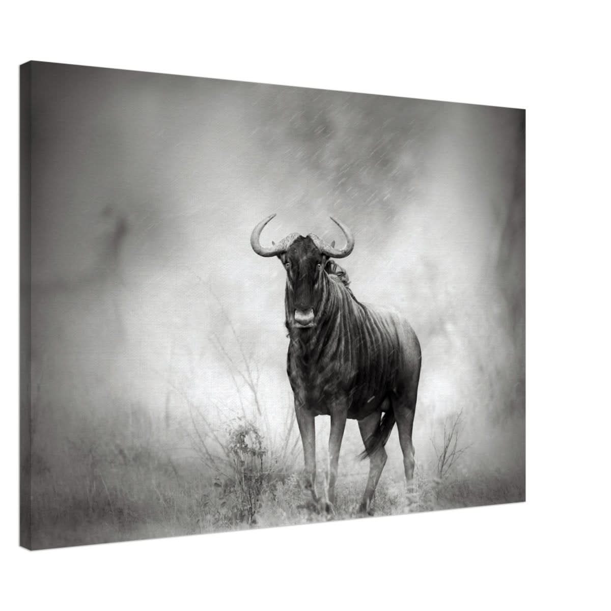 Da Vinci Animal Kingdom Wall art print | Wildlife | Wildebeest - Canvas - 70x100 cm / 28x40″ - Thick