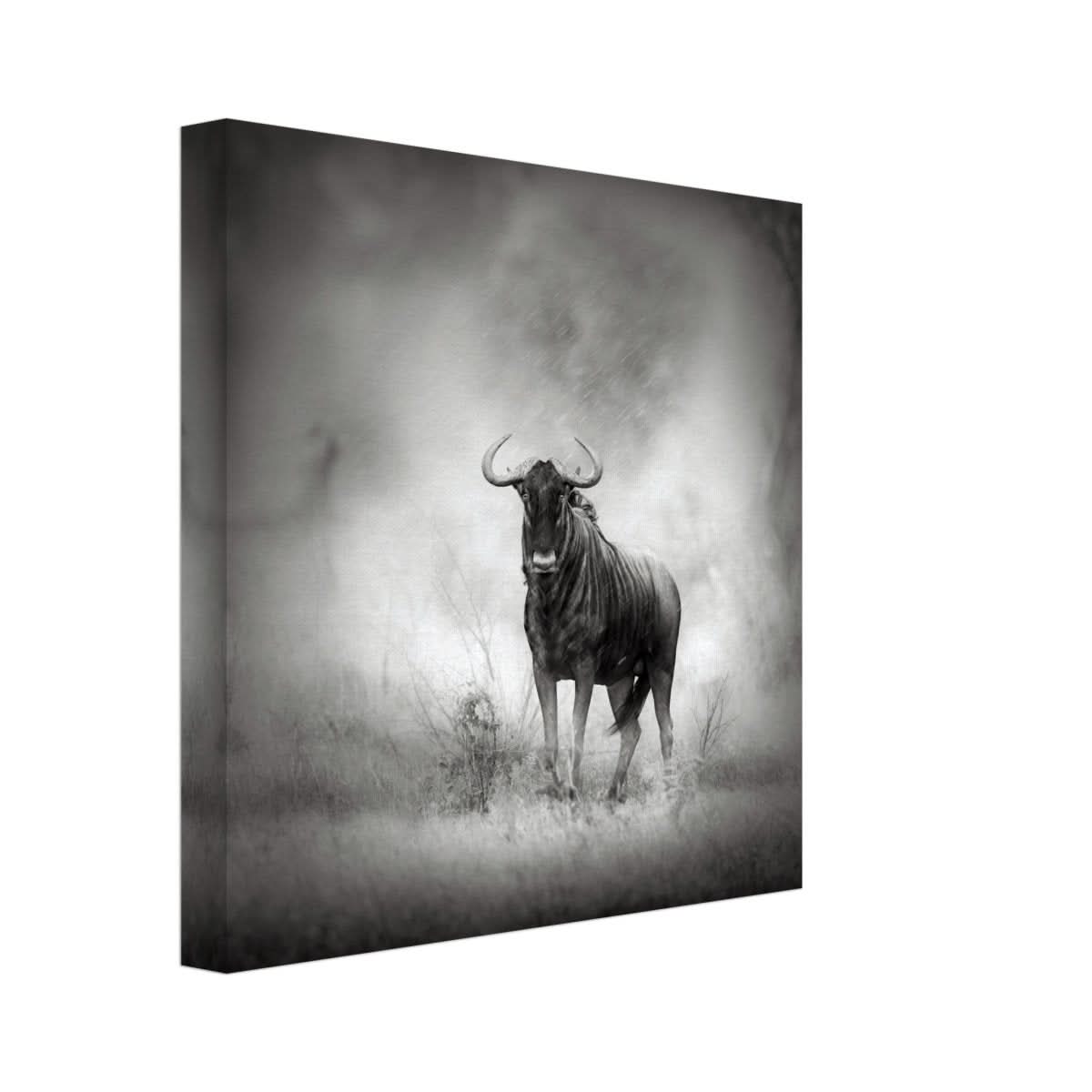 Da Vinci Animal Kingdom Wall art print | Wildlife | Wildebeest - Canvas - 30x30 cm / 12x12″ - Thick
