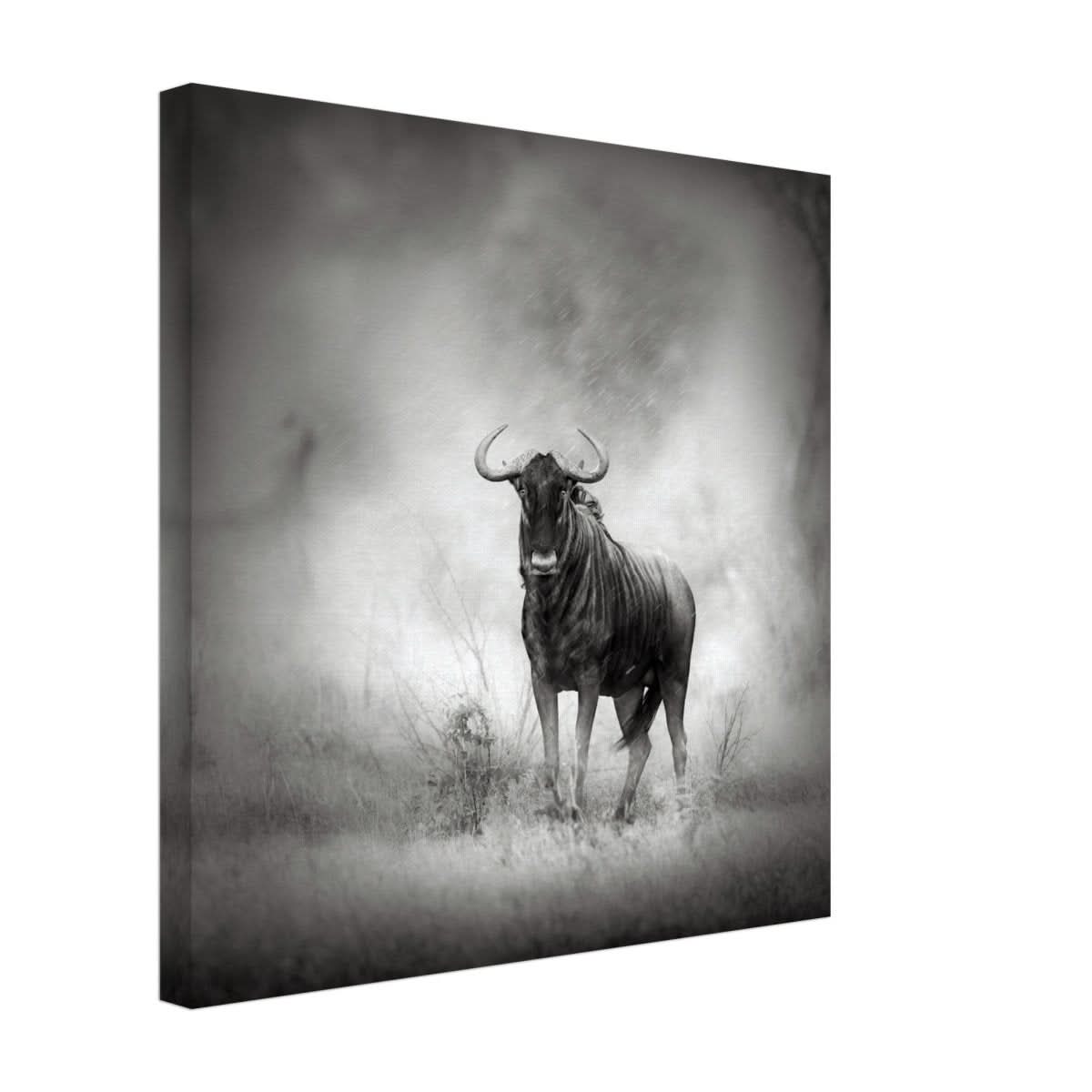 Da Vinci Animal Kingdom Wall art print | Wildlife | Wildebeest - Canvas - 40x40 cm / 16x16″ - Slim