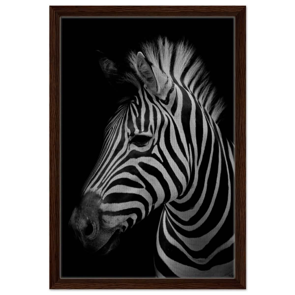 Da Vinci Animal Kingdom Wall art print | Zebra - Framed Canvas - 40x60 cm / 16x24″ - Dark wood frame