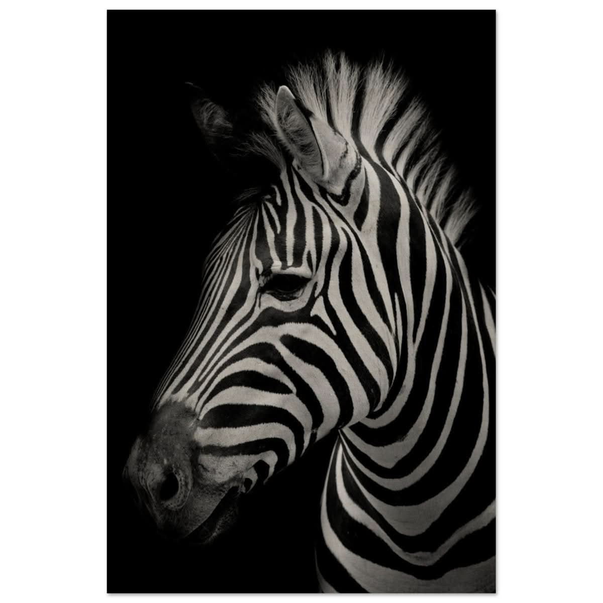 Da Vinci Animal Kingdom Wall art print | Zebra - Wood Prints - 60x90 cm / 24x36″ -