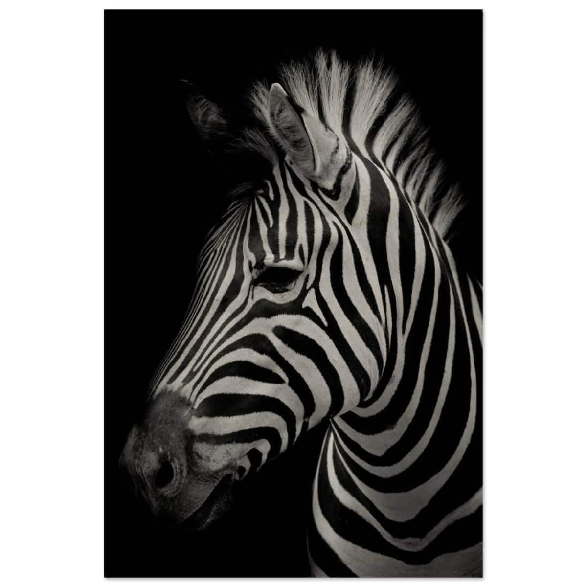 Da Vinci Animal Kingdom Wall art print | Zebra - Wood Prints - 50x75 cm / 20x30″ -