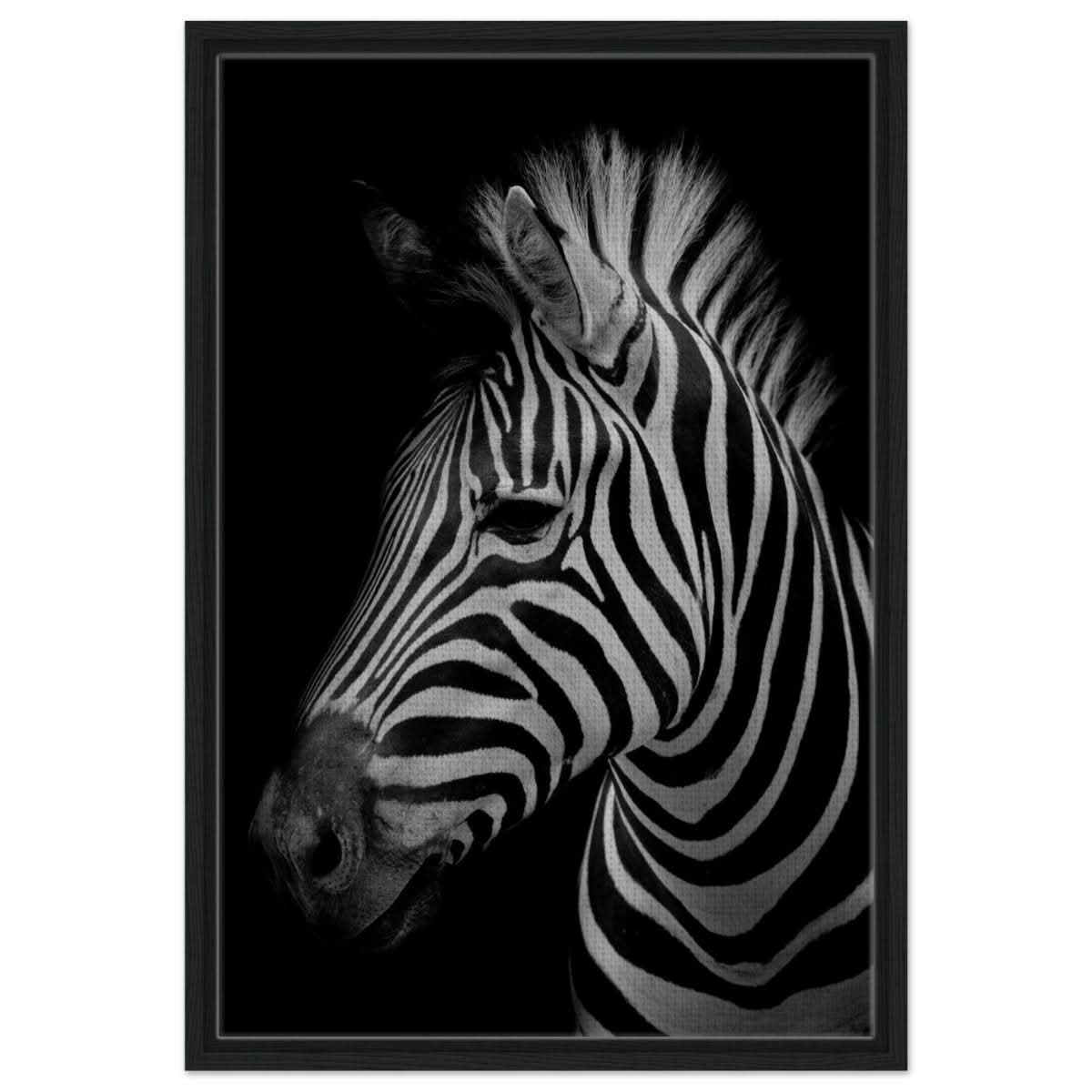 Da Vinci Animal Kingdom Wall art print | Zebra - Framed Canvas - 50x75 cm / 20x30″ - Black frame