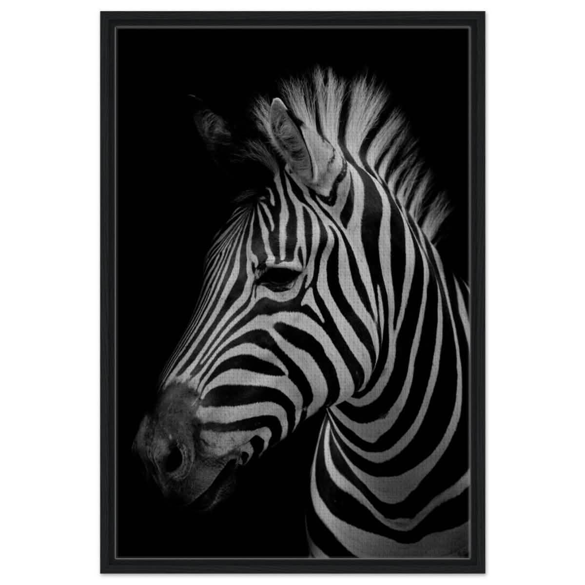Da Vinci Animal Kingdom Wall art print | Zebra - Framed Canvas - 60x90 cm / 24x36″ - Black frame