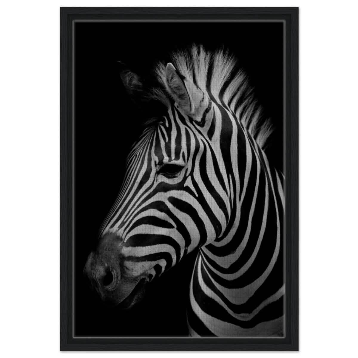 Da Vinci Animal Kingdom Wall art print | Zebra - Framed Canvas - 40x60 cm / 16x24″ - Black frame