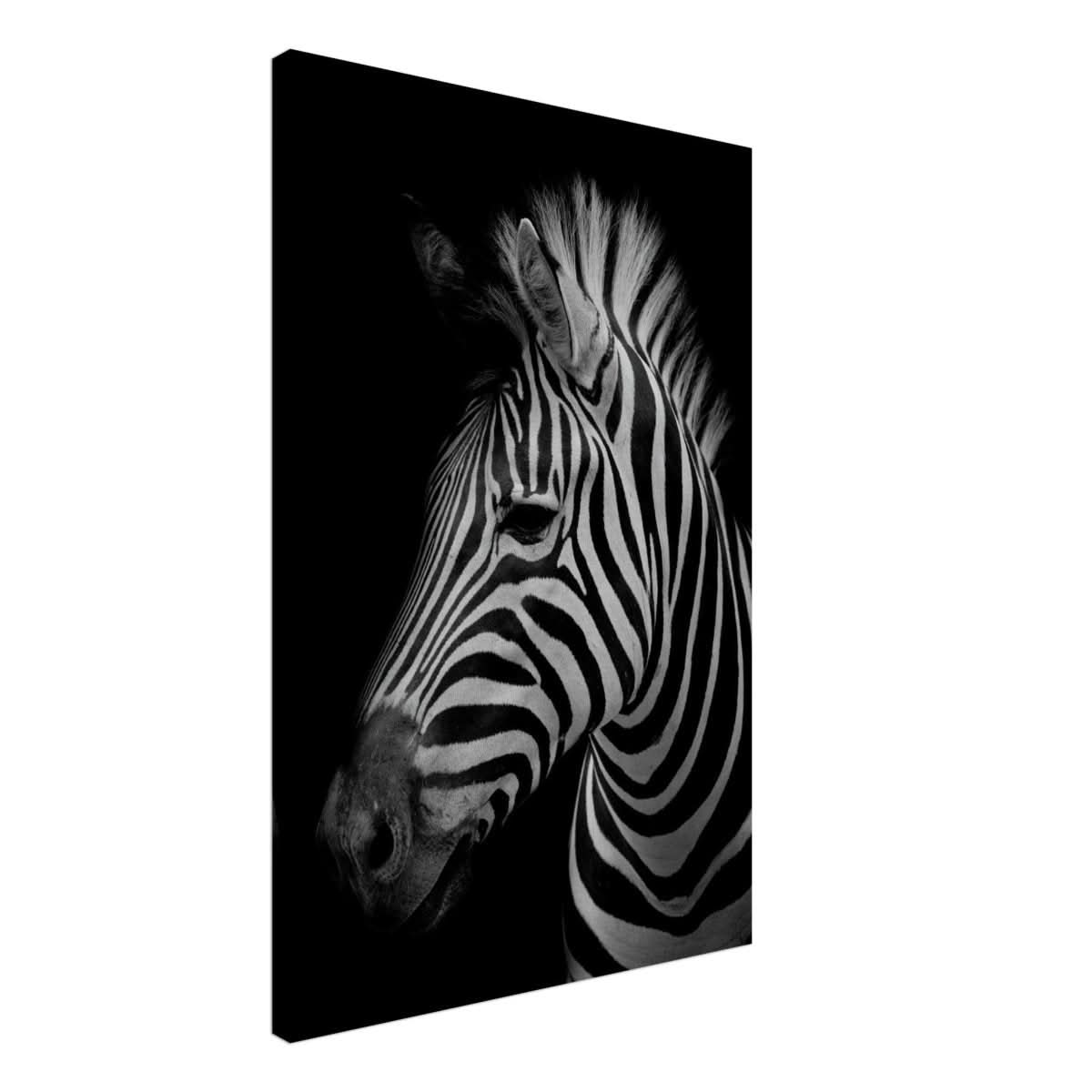 Da Vinci Animal Kingdom Wall art print | Zebra - Canvas - 50x75 cm / 20x30″ -