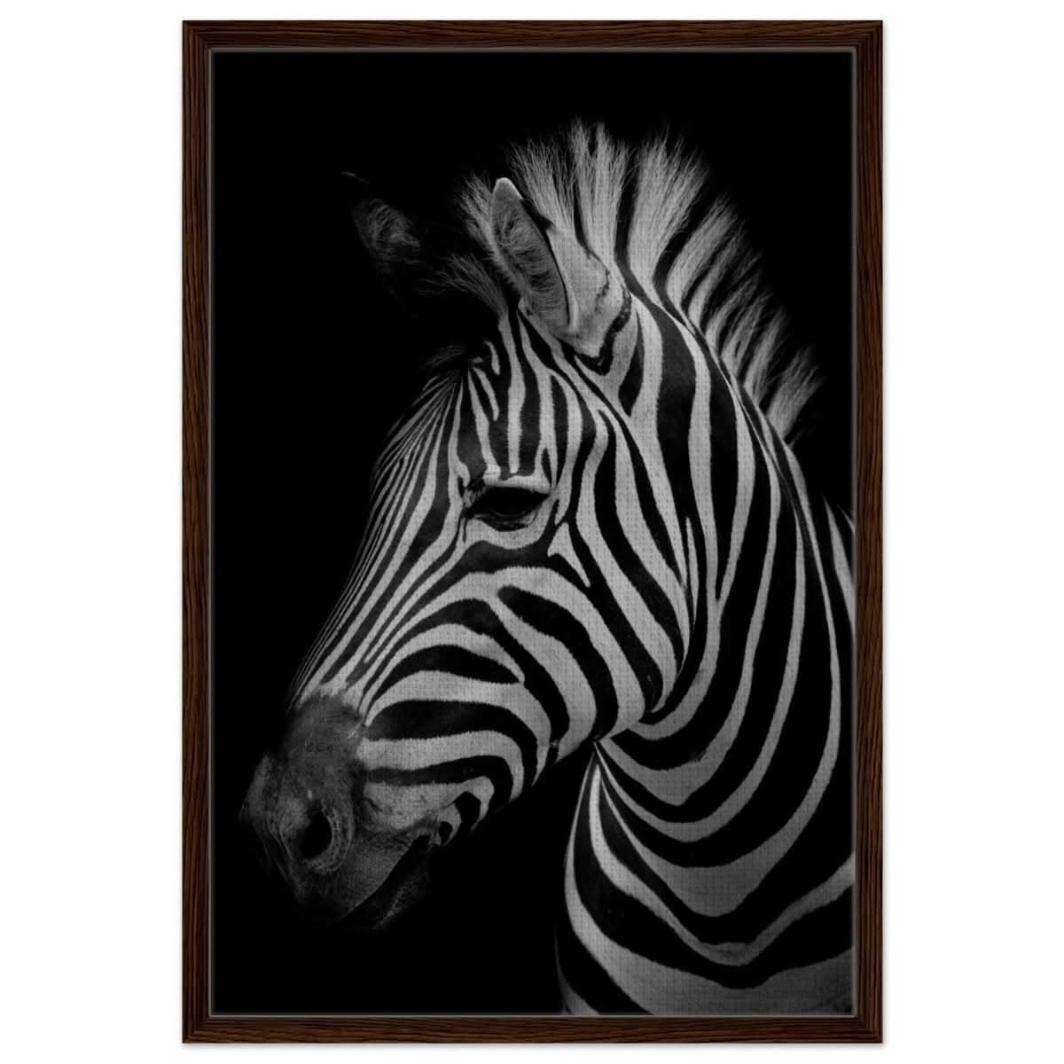 Da Vinci Animal Kingdom Wall art print | Zebra - Framed Canvas - 60x90 cm / 24x36″ - Dark wood frame