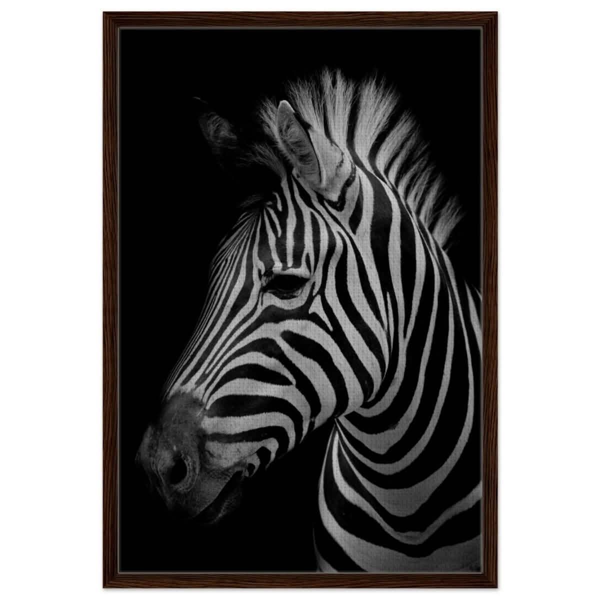 Da Vinci Animal Kingdom Wall art print | Zebra - Framed Canvas - 60x90 cm / 24x36″ - Dark wood frame