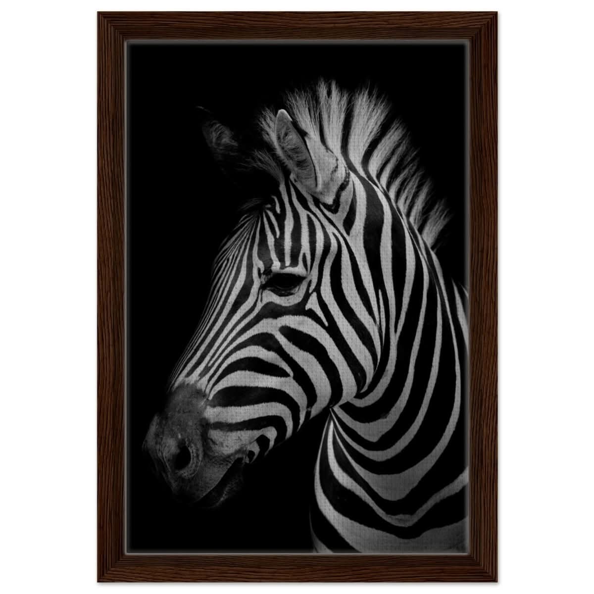 Da Vinci Animal Kingdom Wall art print | Zebra - Framed Canvas - 30x45 cm / 12x18″ - Dark wood frame