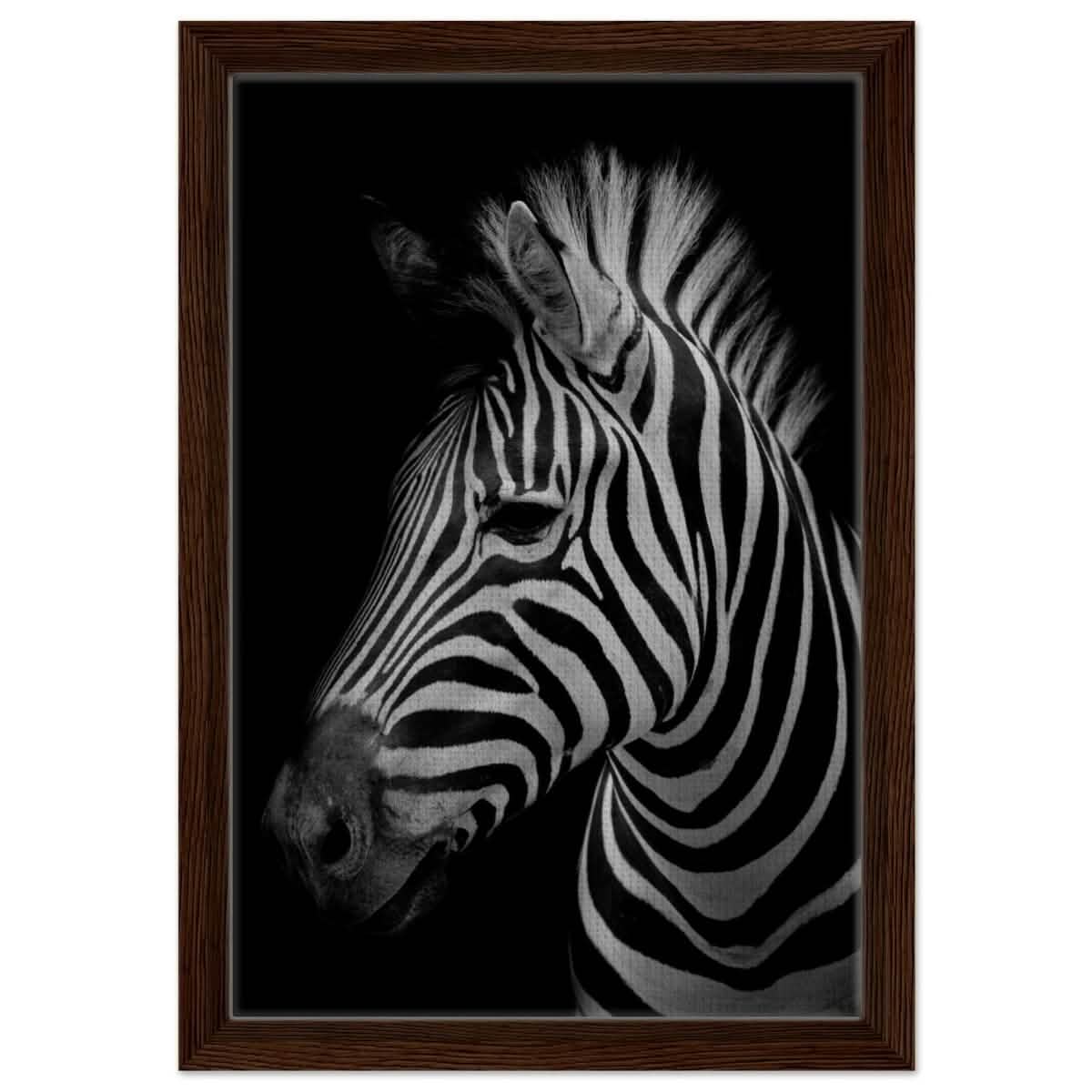 Da Vinci Animal Kingdom Wall art print | Zebra - Framed Canvas - 30x45 cm / 12x18″ - Dark wood frame